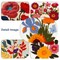 Maydear Complete Embroidery Starter Kit for Beginners - 5 Sets Punch Needle Set with Patterns, Hoops, Threads & Stitch Practice Guide for Adults, DIY Hand Embroidery Craft Kit